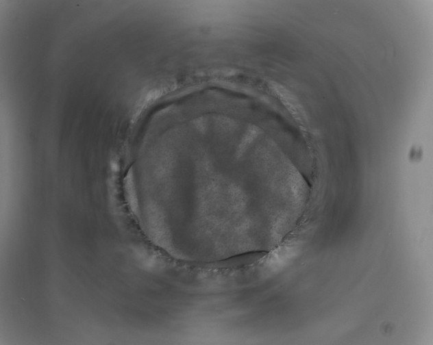 X0000094070192200711161556