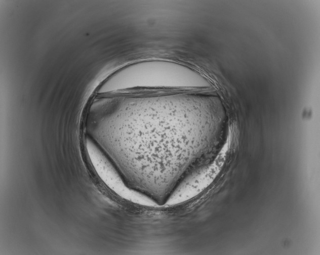 X0000094070195200711161555