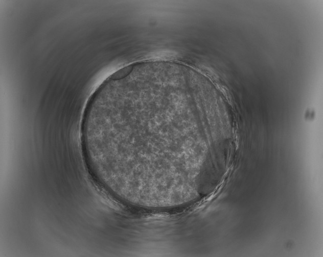 X0000094070196200711161555
