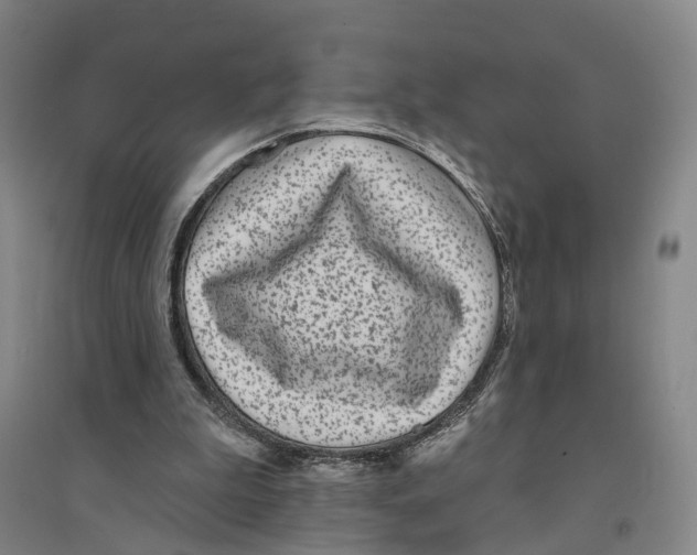 X0000094070199200711161555