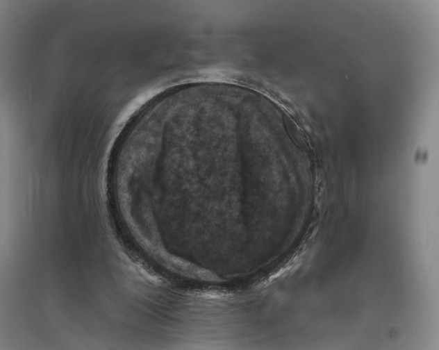X0000094070200200711161555