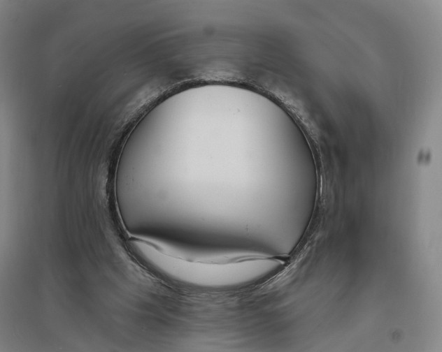 X0000094070201200711161555