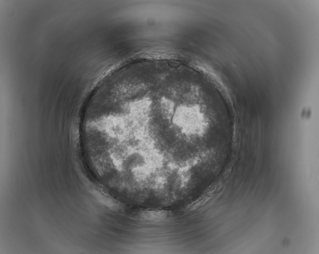 X0000094070202200711161555