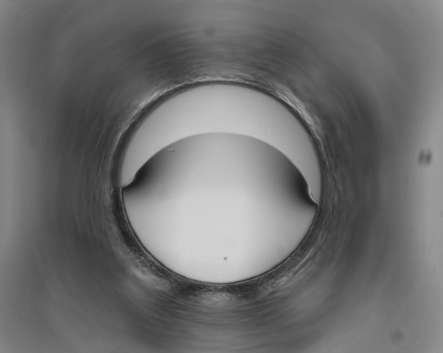 X0000094070203200711161555