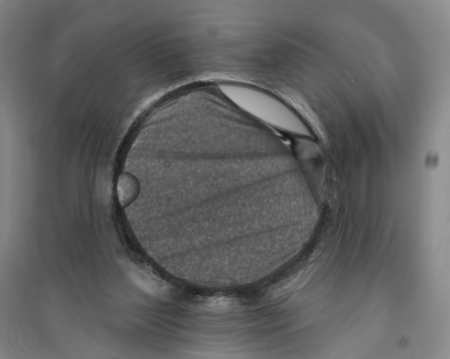 X0000094070204200711161555