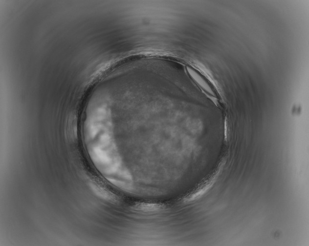 X0000094070205200711161555