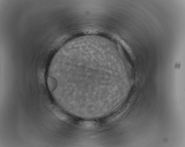 X0000094070209200711161555