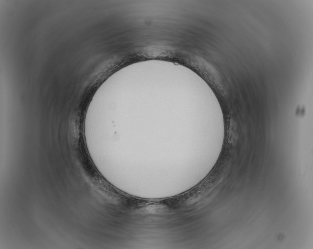 X0000094070210200711161555