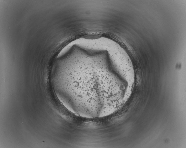 X0000094070211200711161555