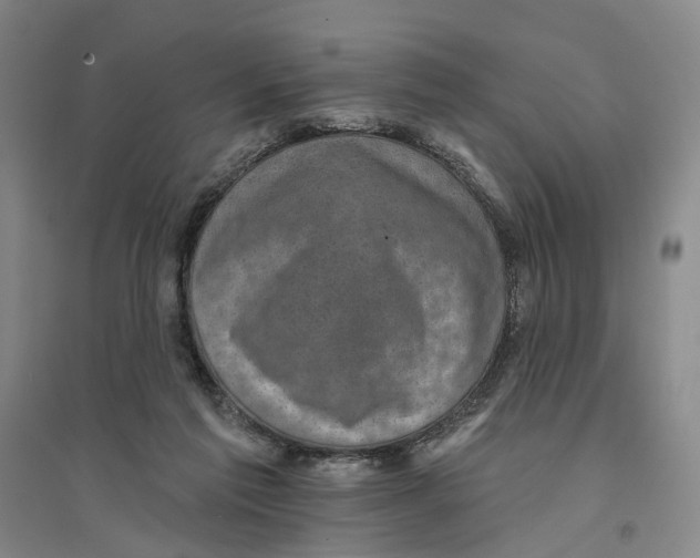 X0000094070213200711161554