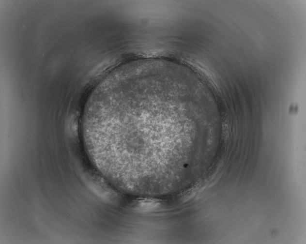X0000094070214200711161554