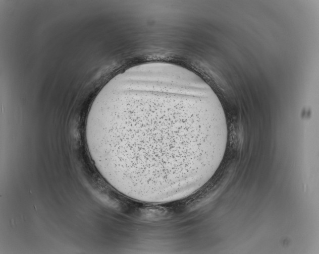 X0000094070215200711161554