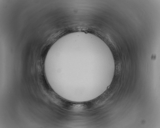 X0000094070218200711161554