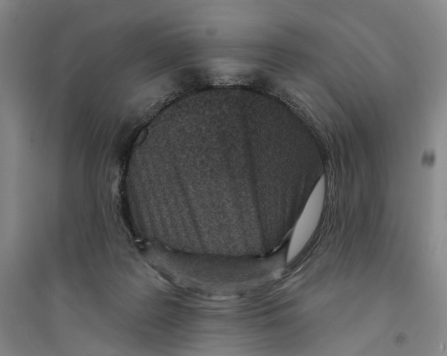 X0000094070219200711161554