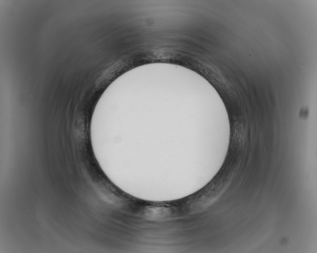 X0000094070220200711161554