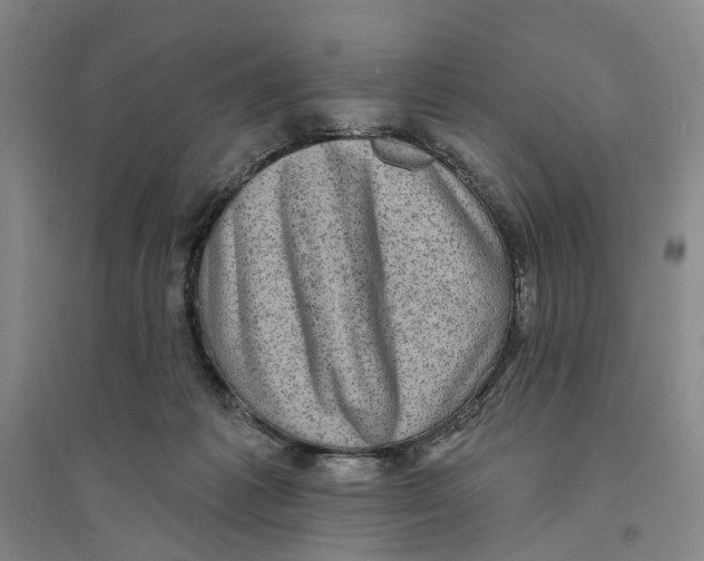 X0000094070221200711161554