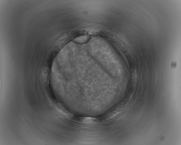 X0000094070222200711161554