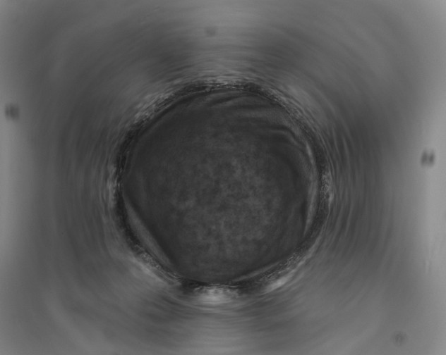 X0000094070223200711161554