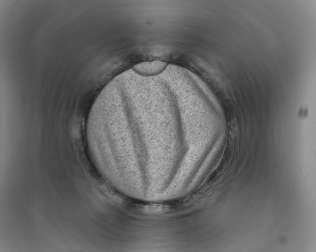 X0000094070225200711161554