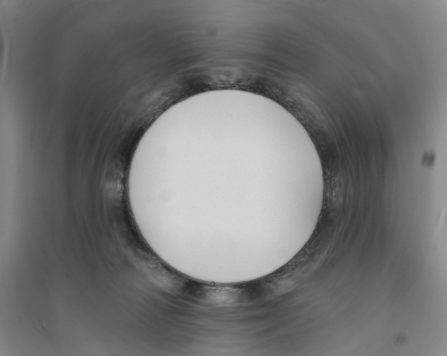 X0000094070226200711161554