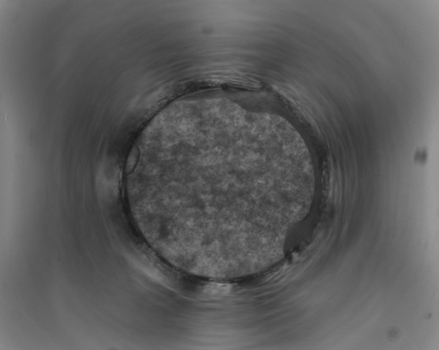 X0000094070227200711161554