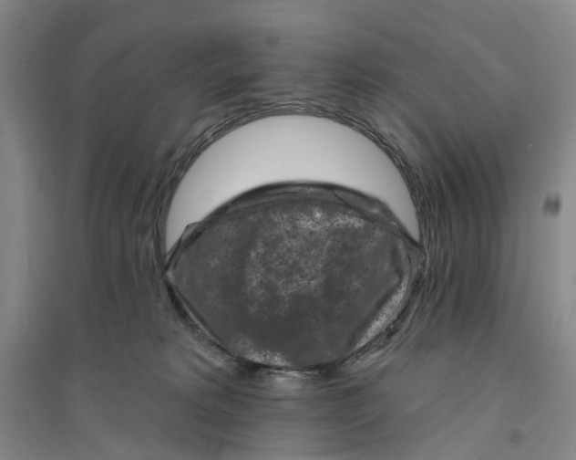 X0000094070229200711161554