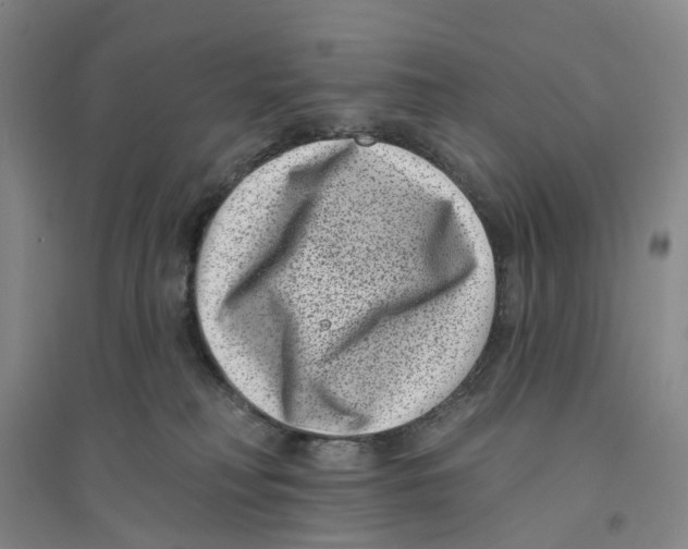 X0000094070230200711161554