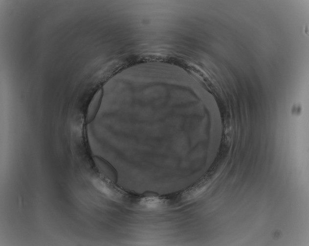 X0000094070231200711161554