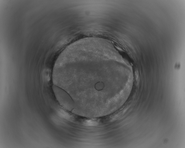 X0000094070232200711161554