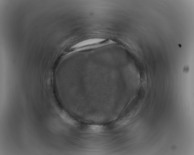 X0000094070233200711161554