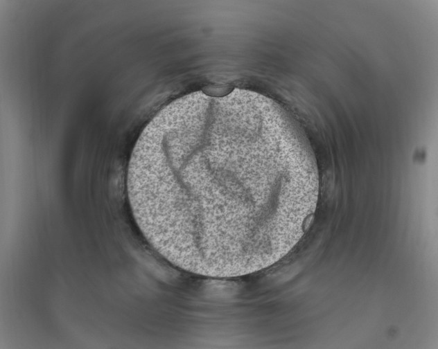 X0000094070234200711161554