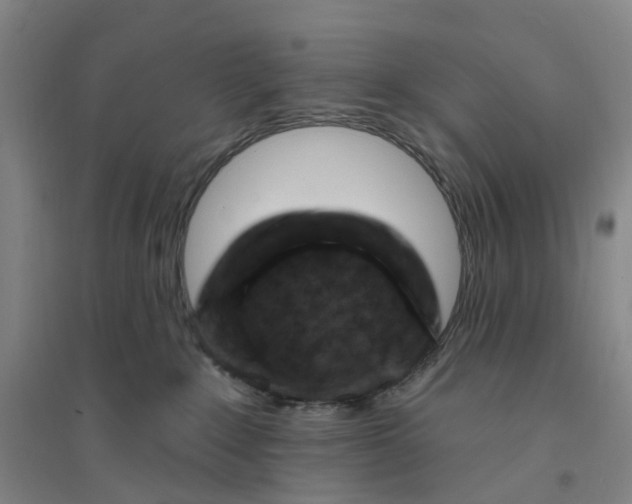 X0000094070235200711161554