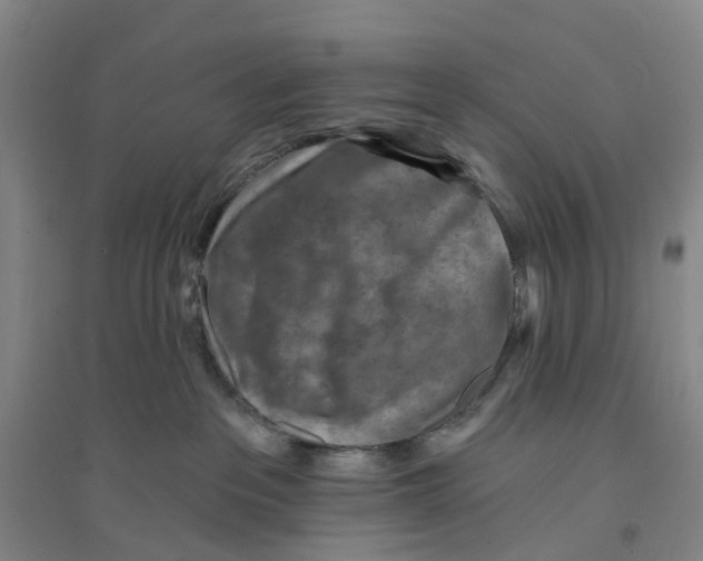 X0000094070237200711161554