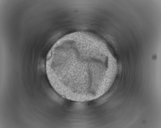 X0000094070238200711161554