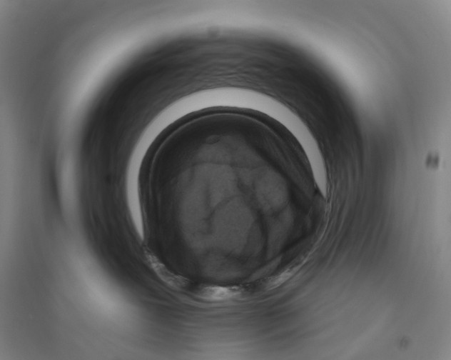 X0000094070239200711161554