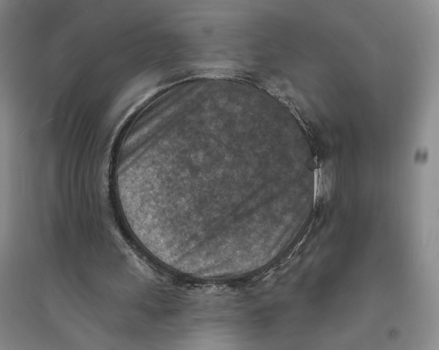 X0000094070243200711161553