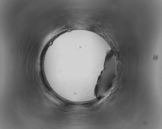 X0000094070246200711161553