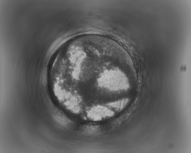 X0000094070247200711161553