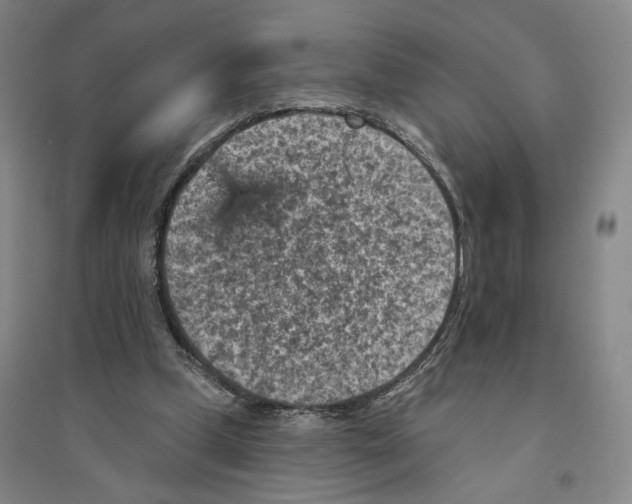 X0000094070249200711161553