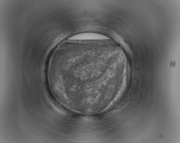 X0000094070250200711161553