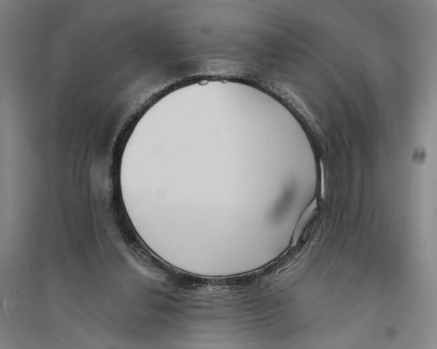 X0000094070252200711161553