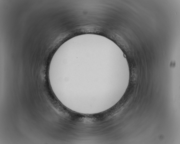X0000094070255200711161553
