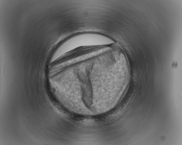 X0000094070256200711161553