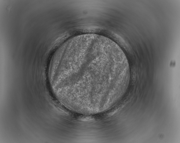 X0000094070258200711161554