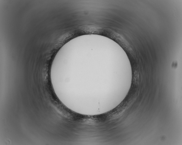 X0000094070259200711161554