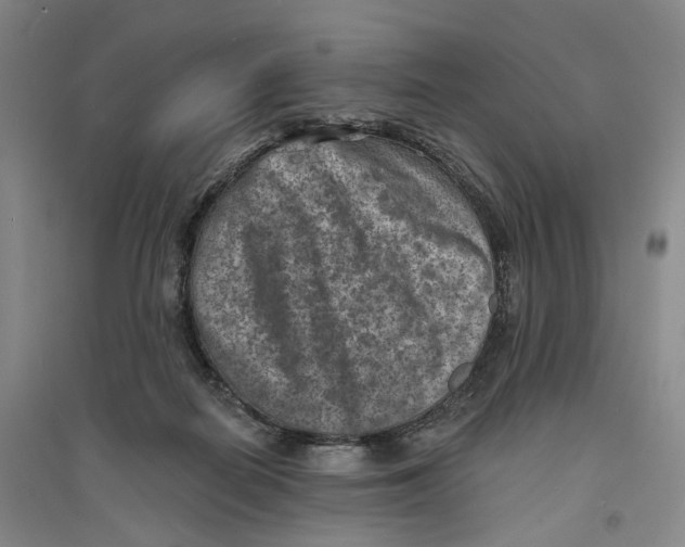 X0000094070266200711161554