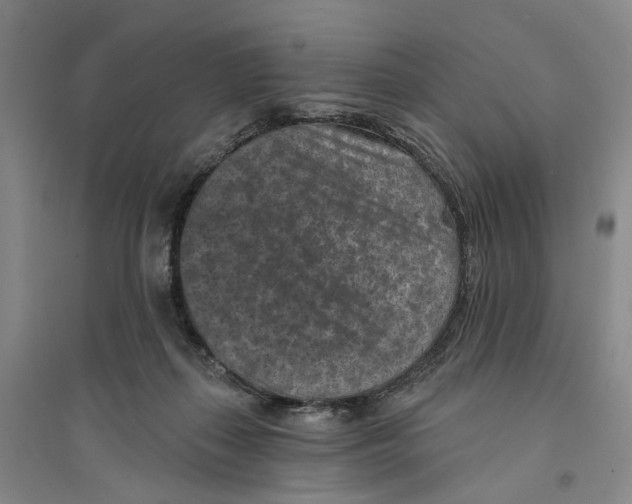 X0000094070267200711161554