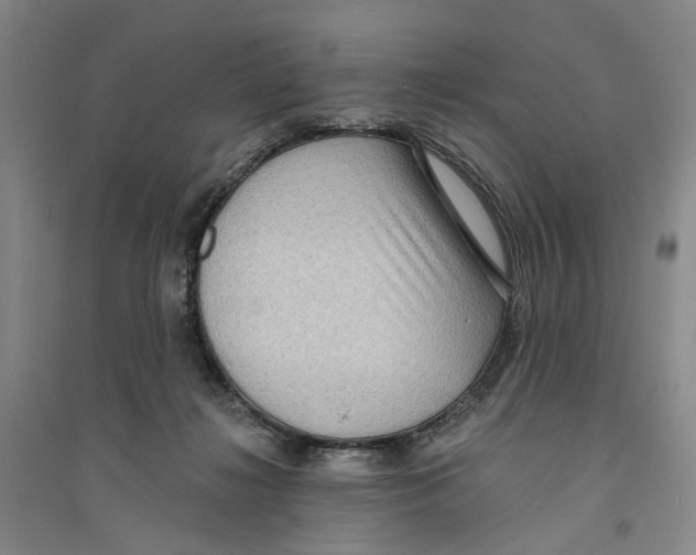X0000094070268200711161554