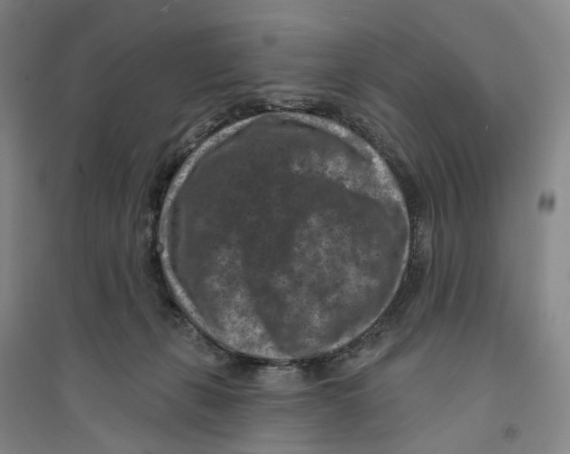 X0000094070271200711161554