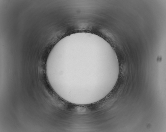X0000094070272200711161554